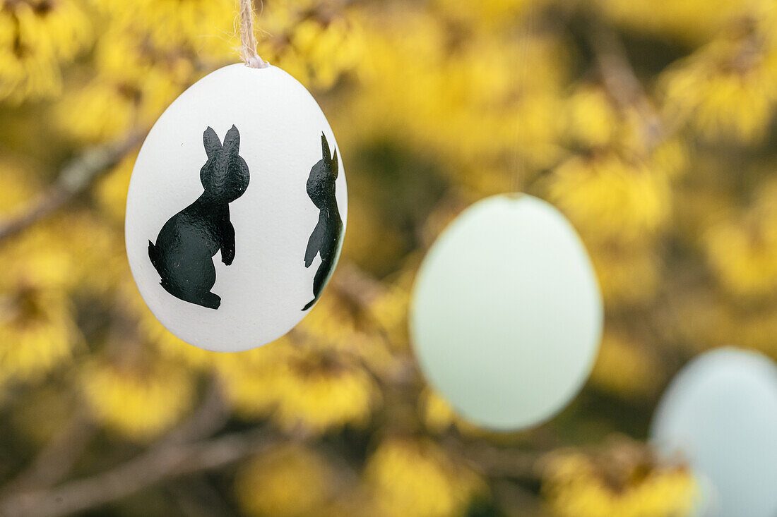 Easter eggs