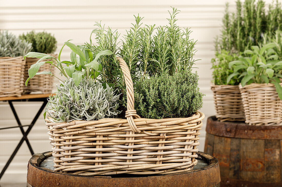 Herb basket