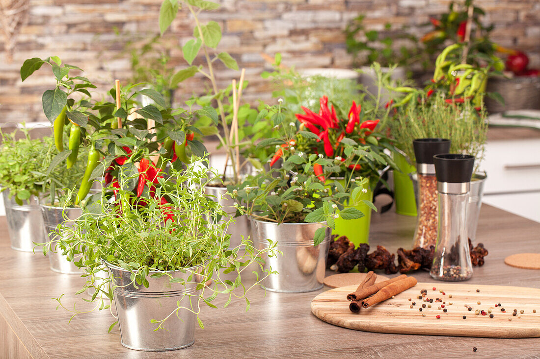 Kitchen ambience with herbs