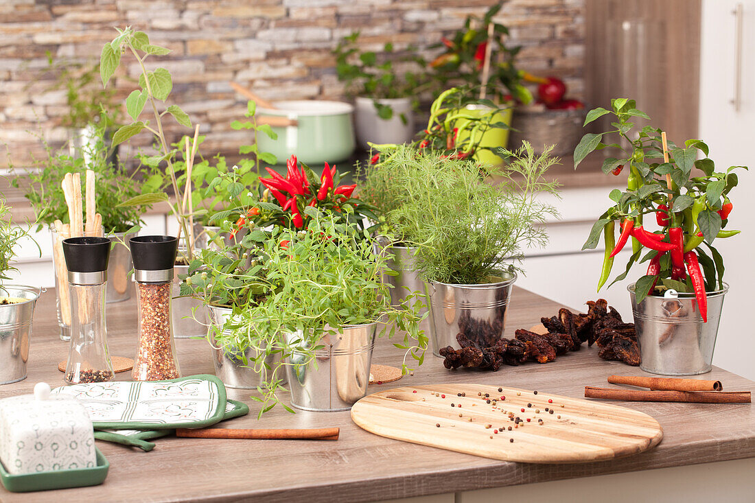 Kitchen ambience with herbs