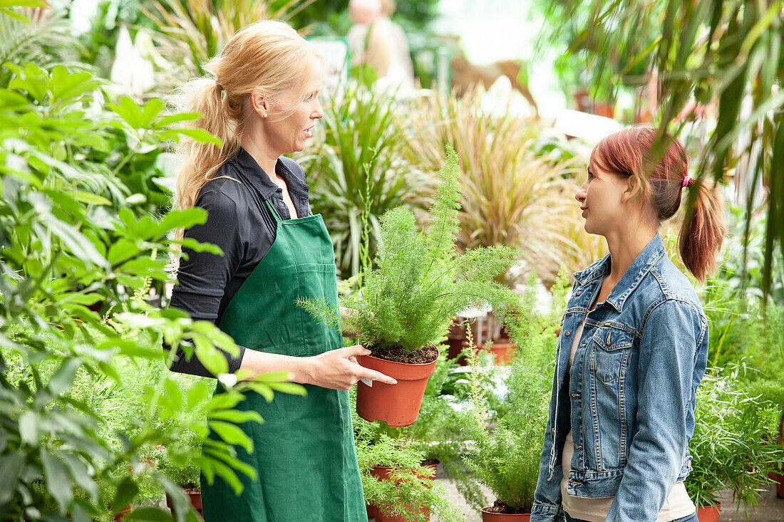 Verkäuferin und Kundin in Gartencenter