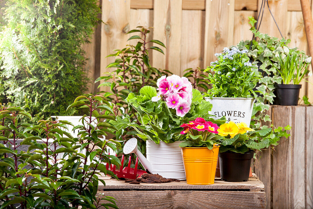 Garden ambience