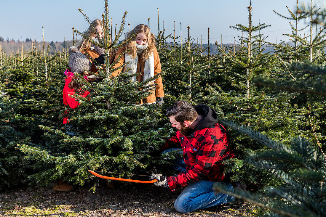 Christmas tree shopping with the family