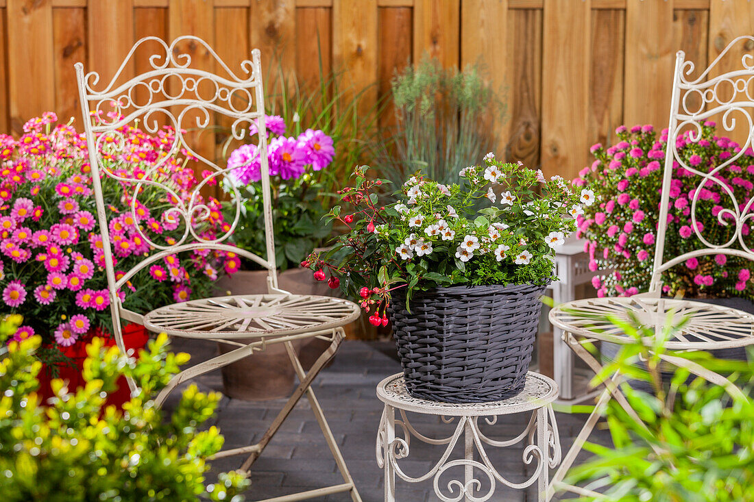 Terrace with colourful potted plants