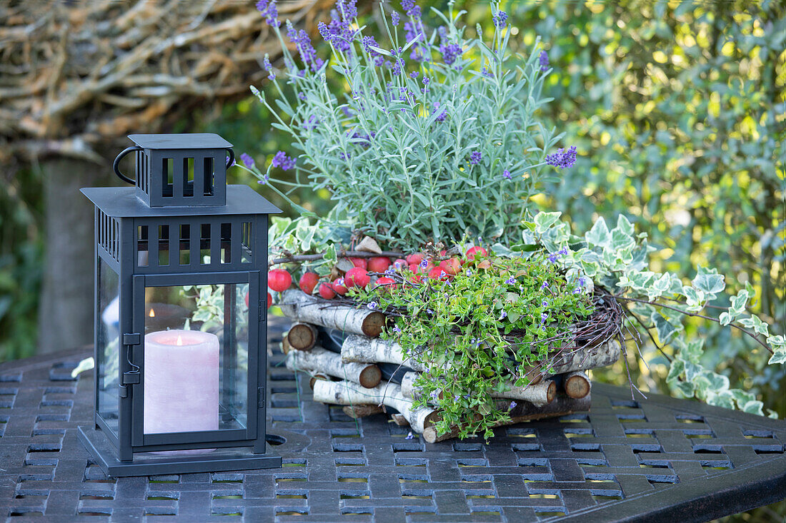 Lanterns in the garden