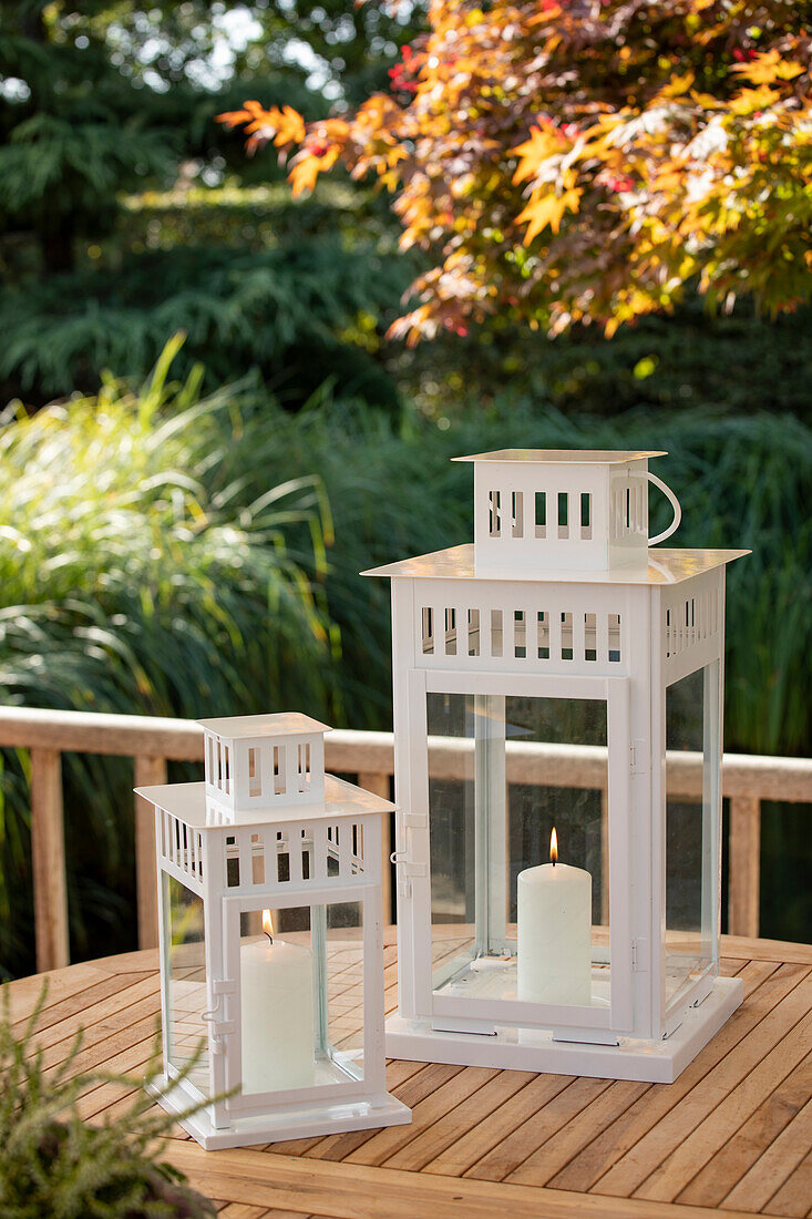 Lanterns in the garden