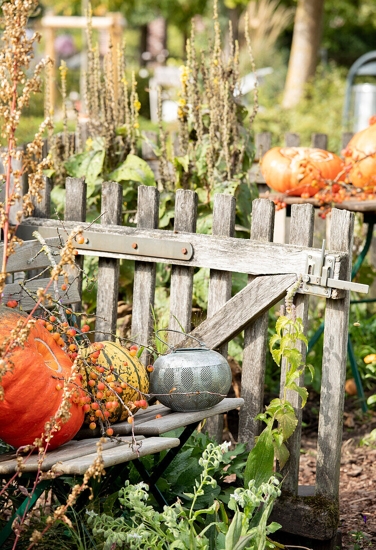 Lanterns in the garden