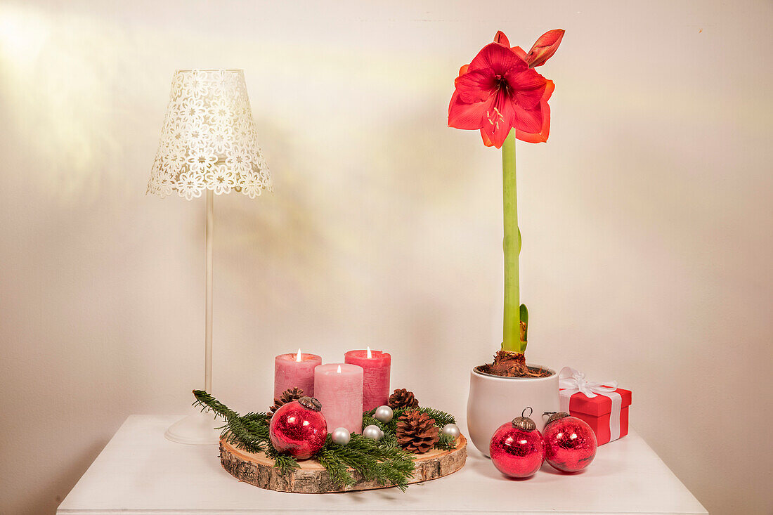 Weihnachtliche Dekoration mit Amaryllis