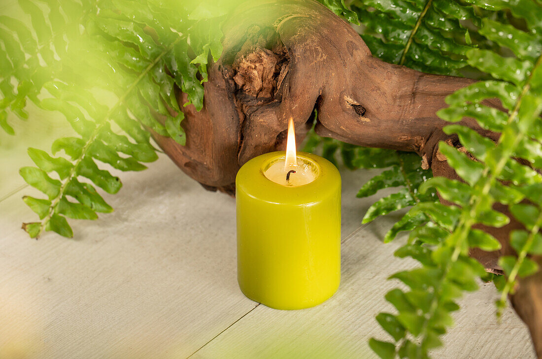 Candle with fern leaves