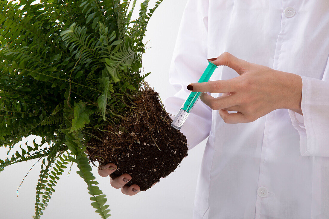 Pflanzendoktor - Pflanze mit Spritze 