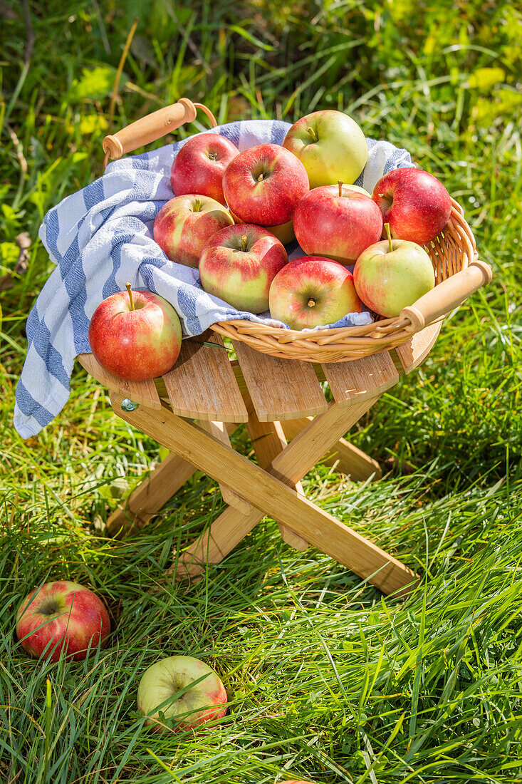 Apples in basket