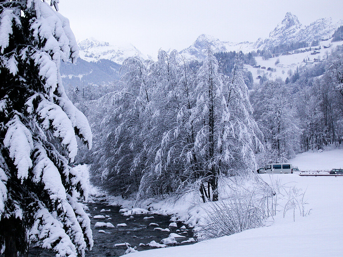 Stream in the snow