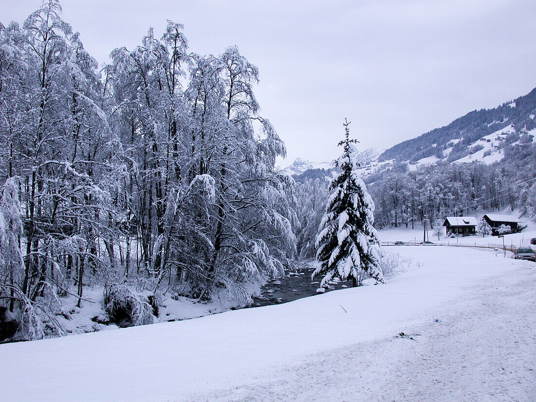 Stream in winter with snow