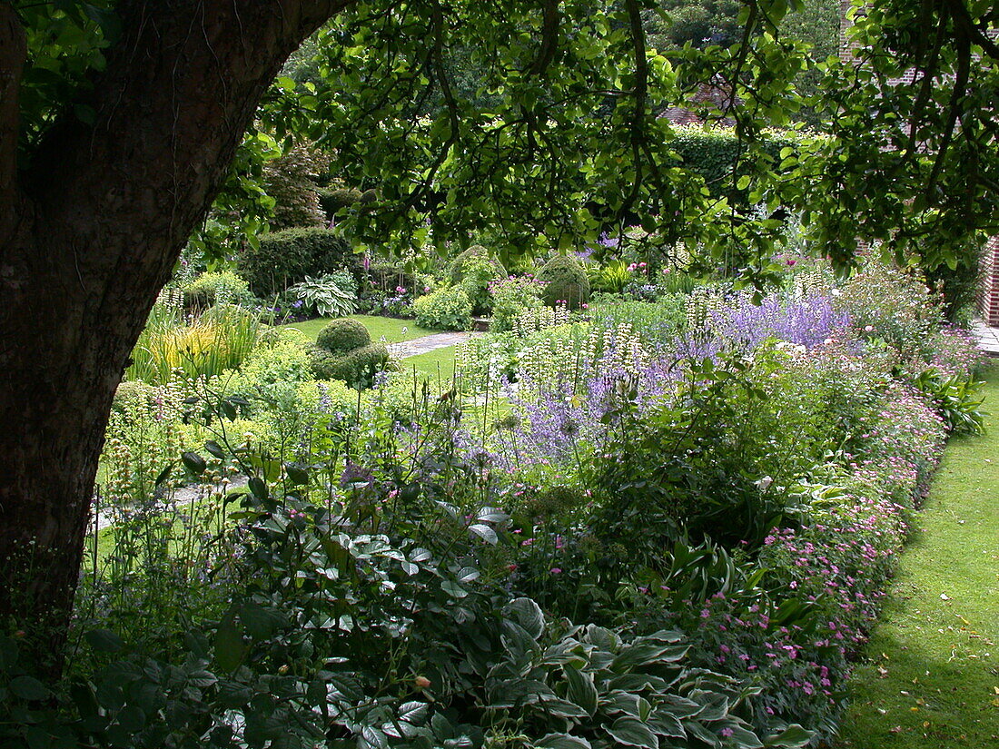 Garden view with shade bed