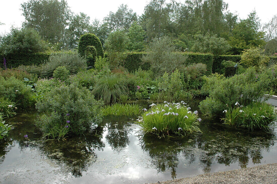 Gartenansicht mit Teich