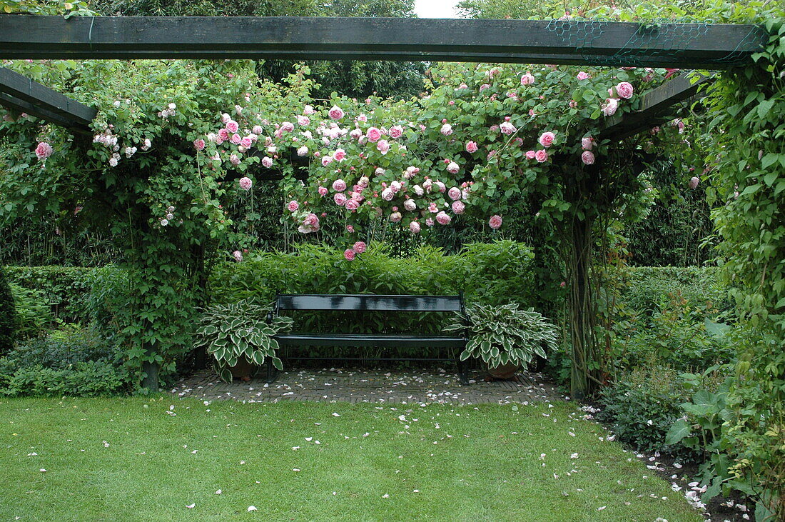 Pergola mit Rosen