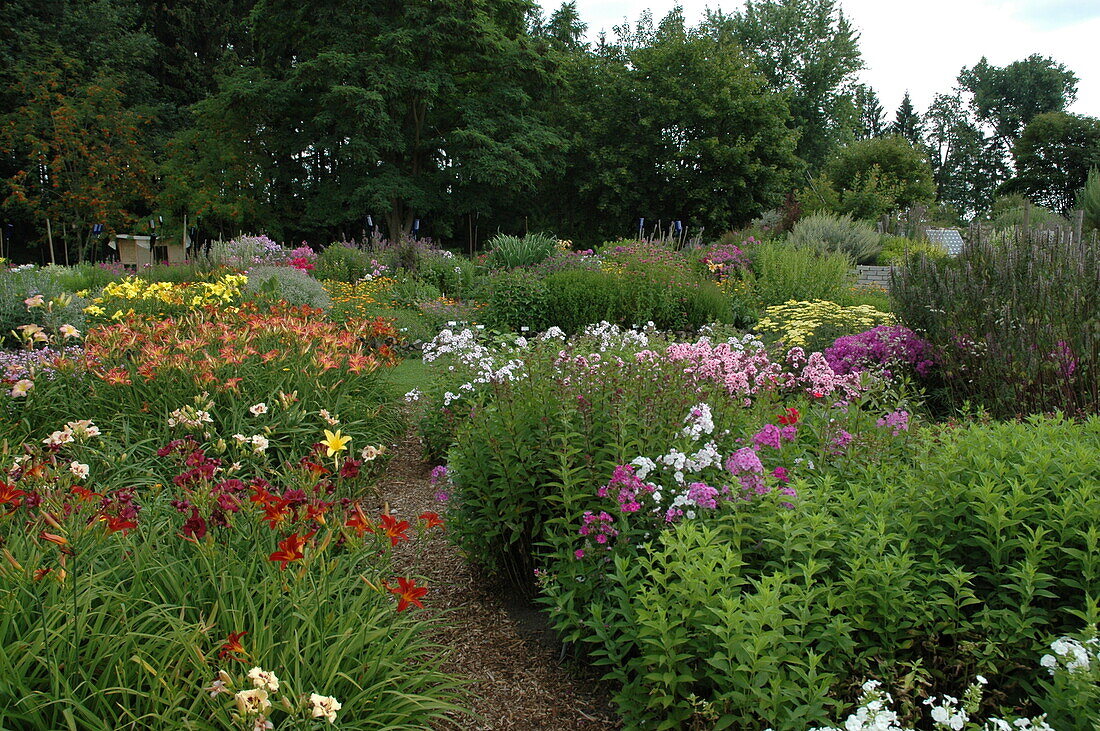 Perennial garden