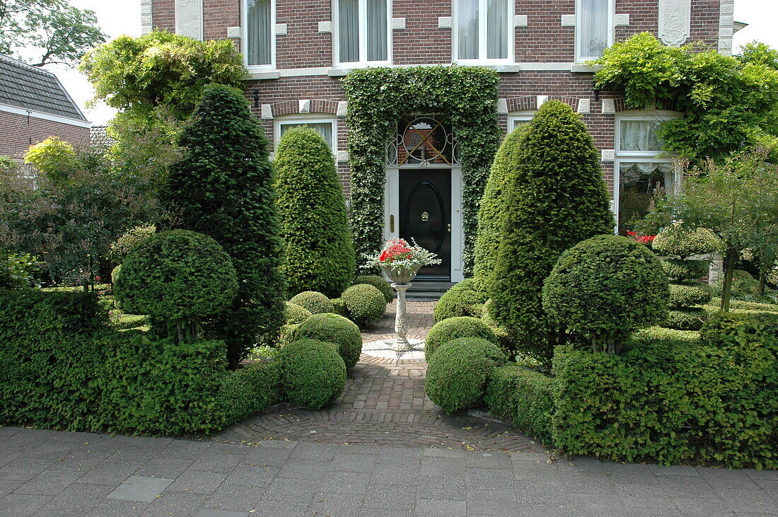 Front garden with topiary