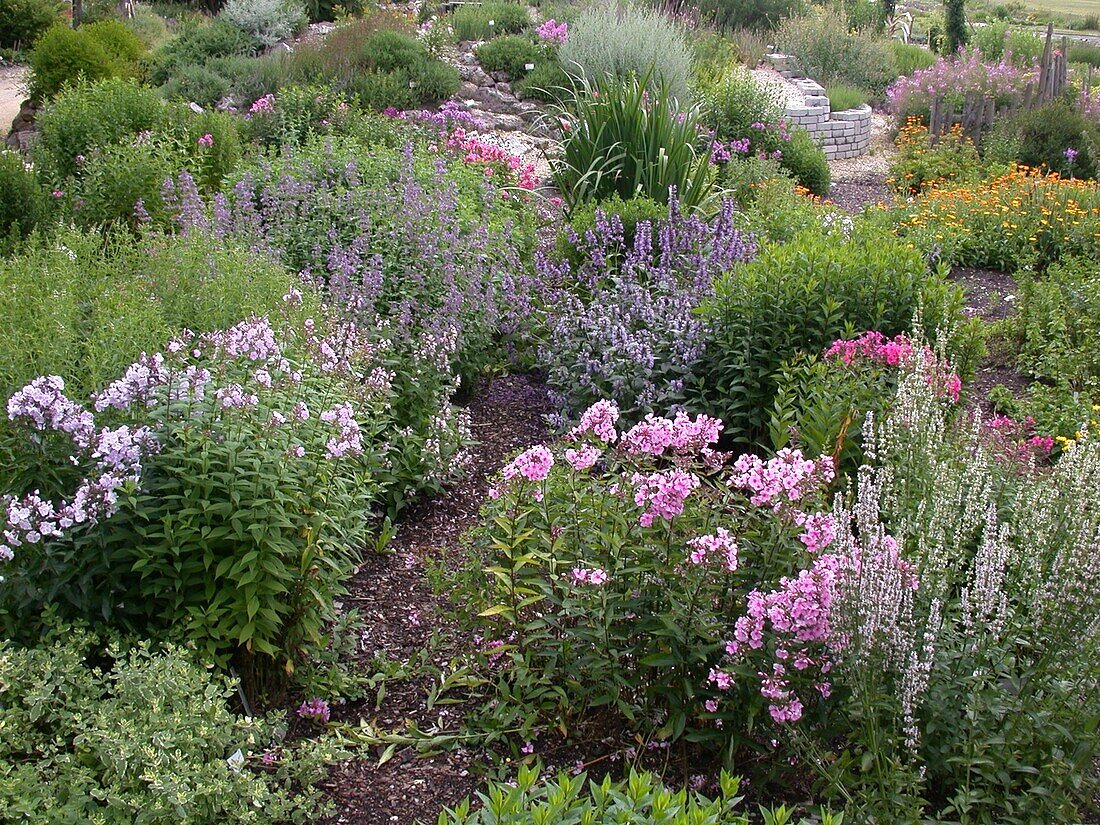 Perennial garden