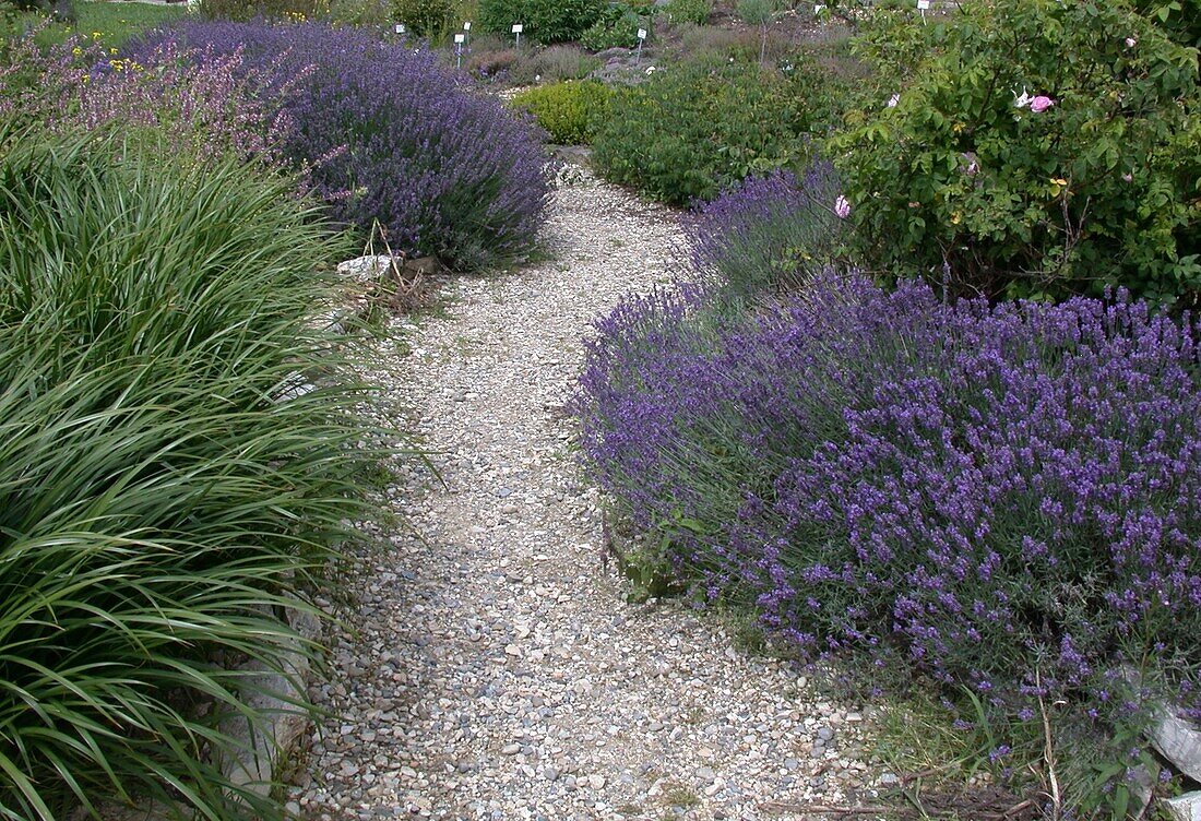 Gravel path