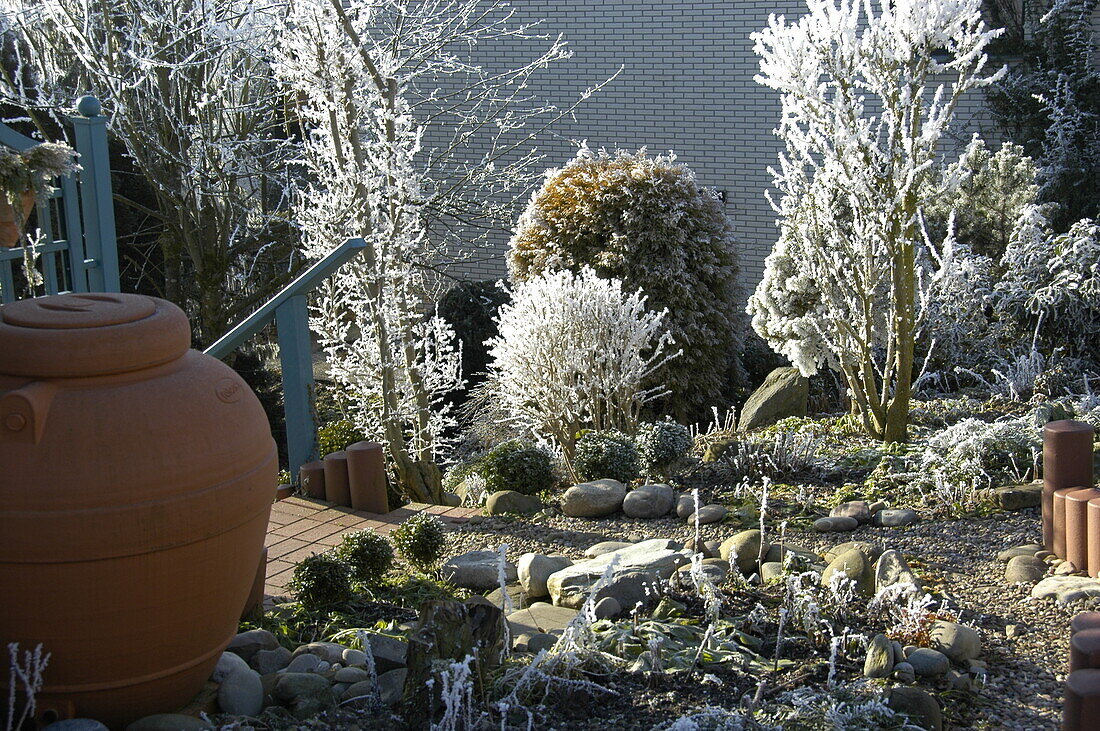 Vorgarten im Winter