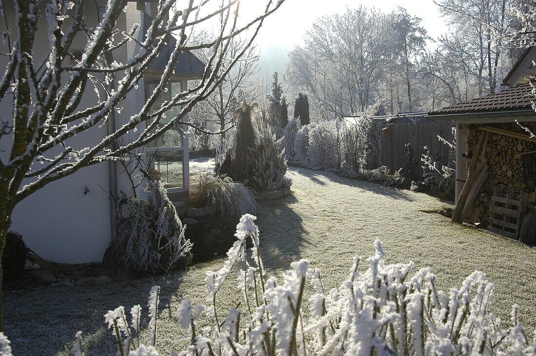 winter garden view