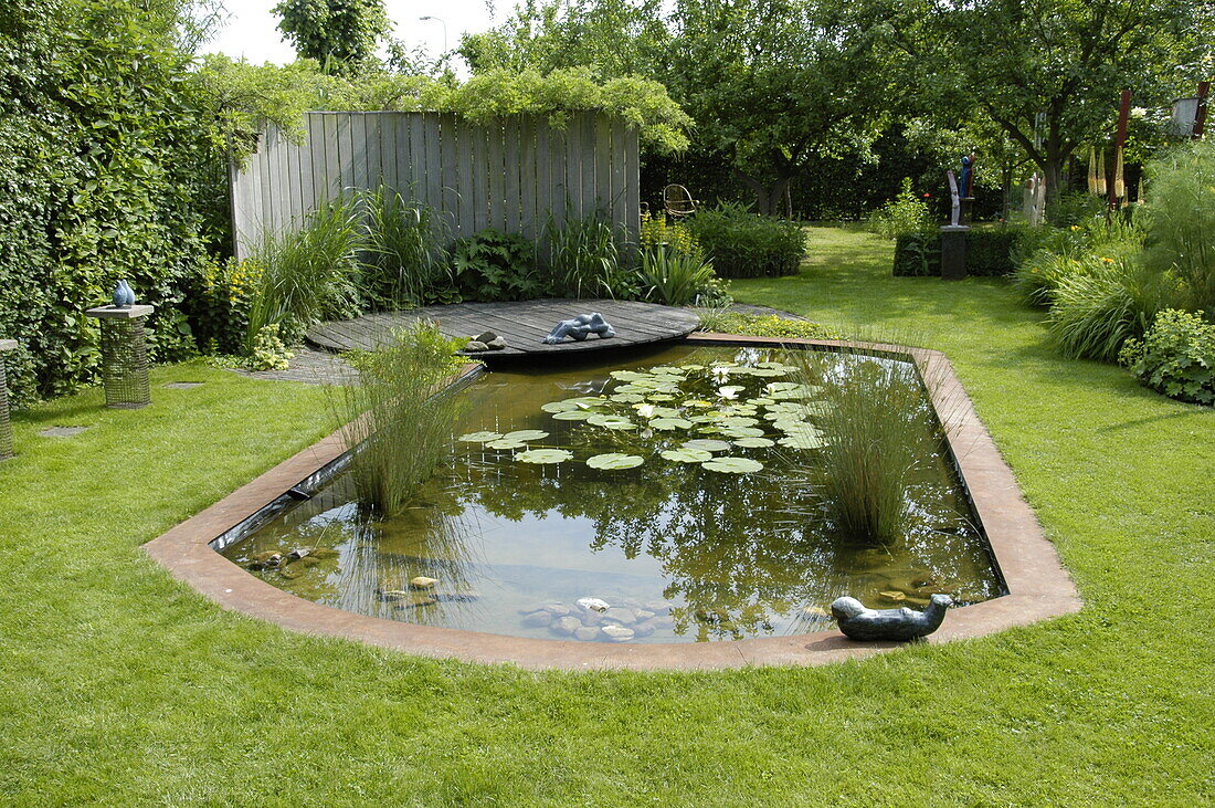 Garden pond