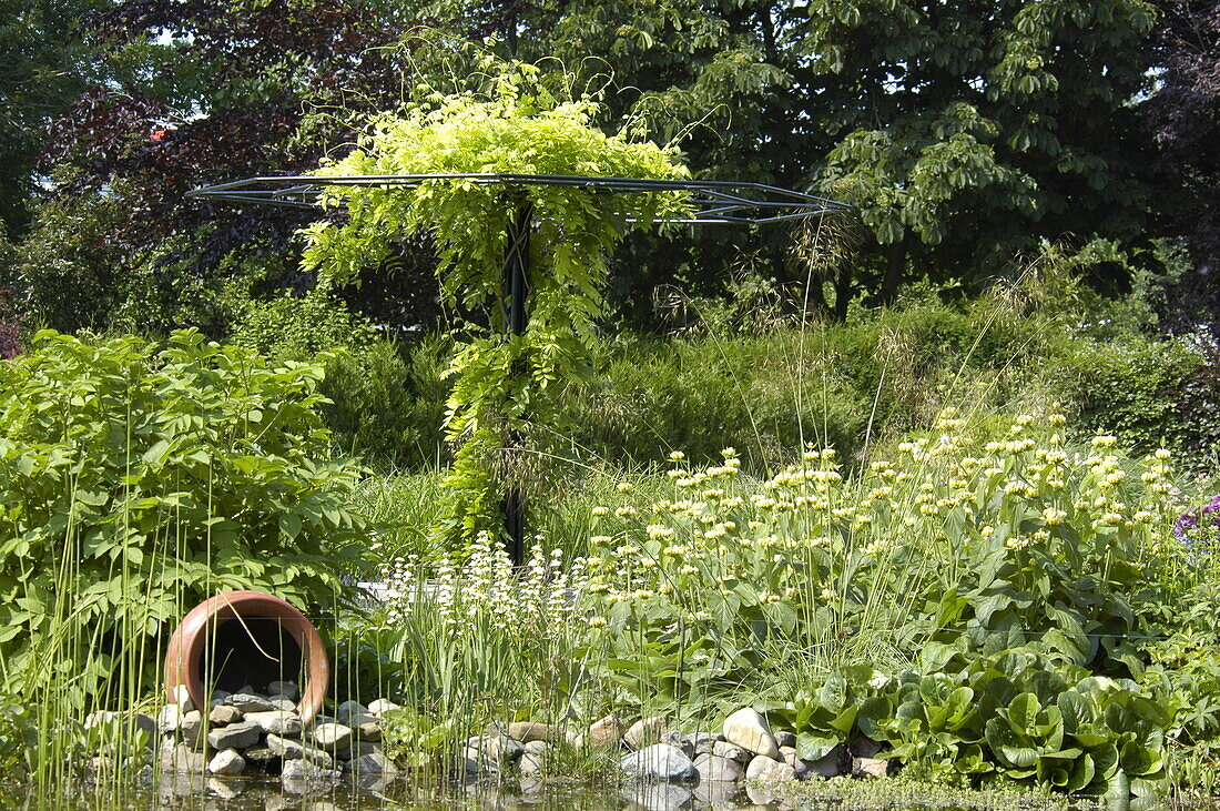 Garden view