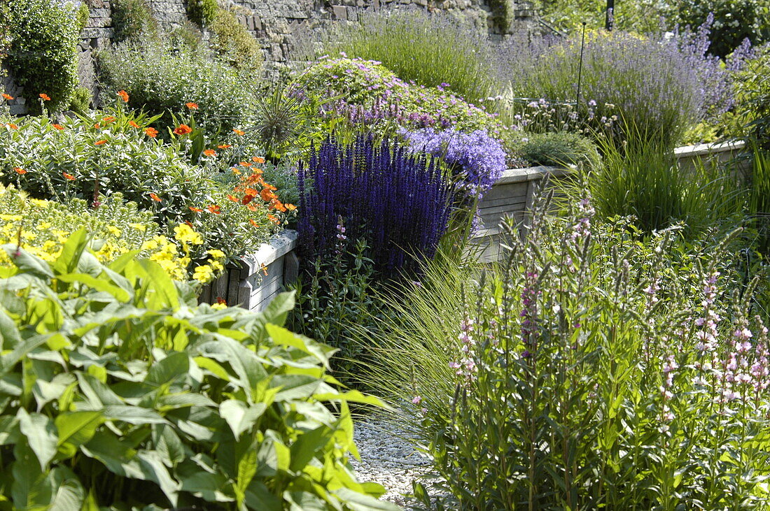 Perennial garden