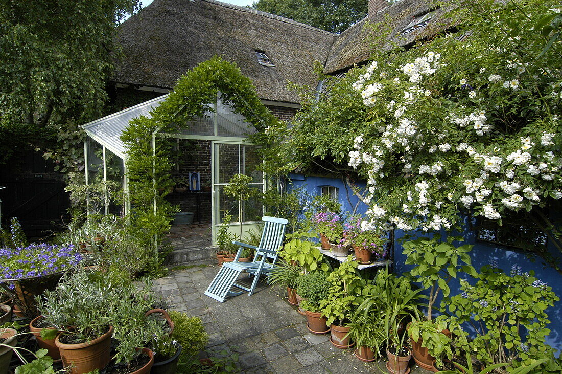 Terrace with potted plants