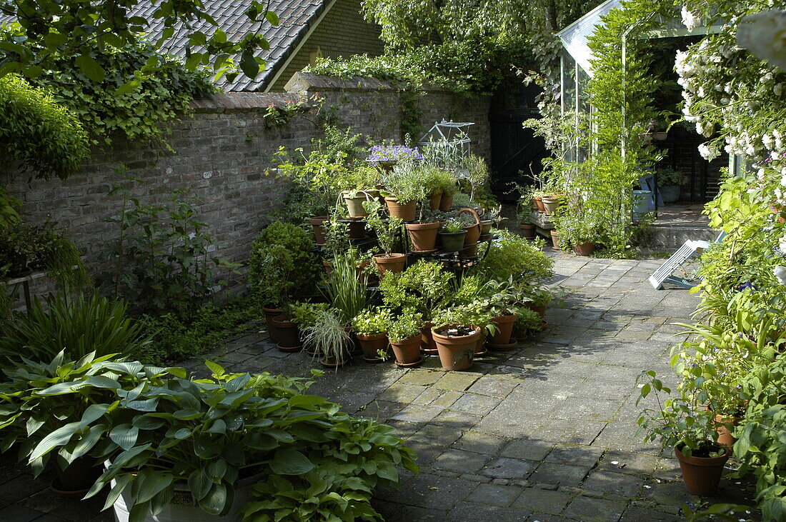 Terrace with potted plants