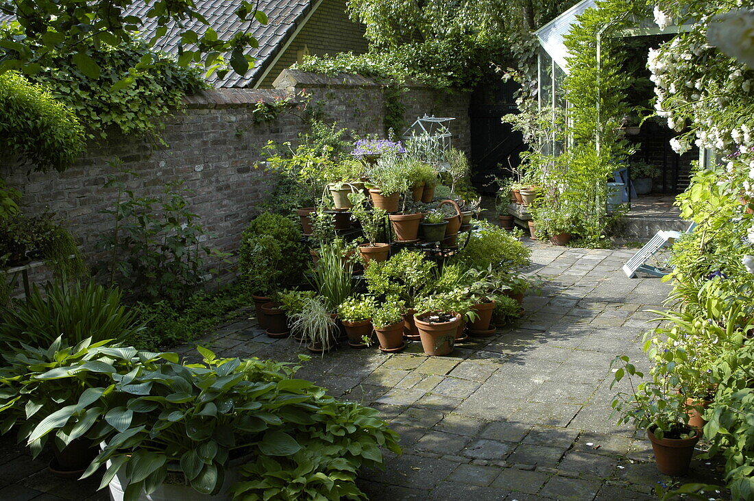 Terrasse mit Topfpflanzen