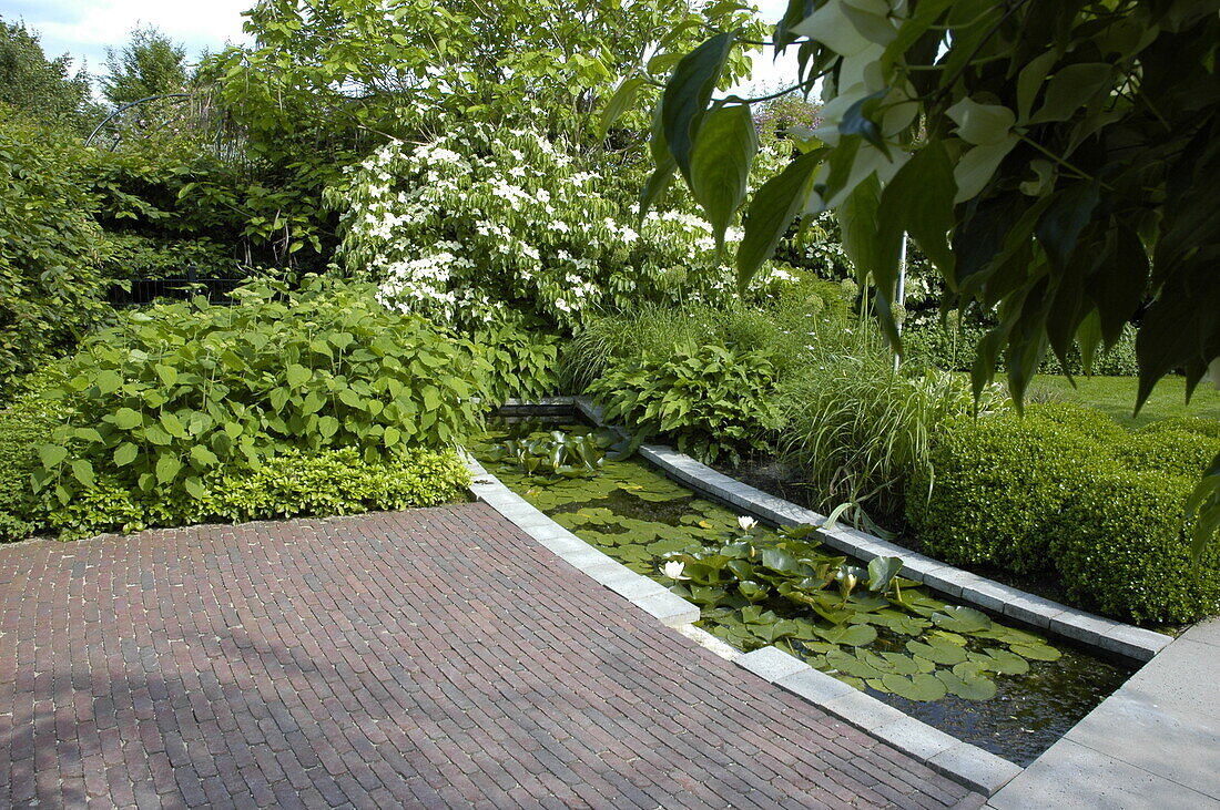 Patio garden with pond