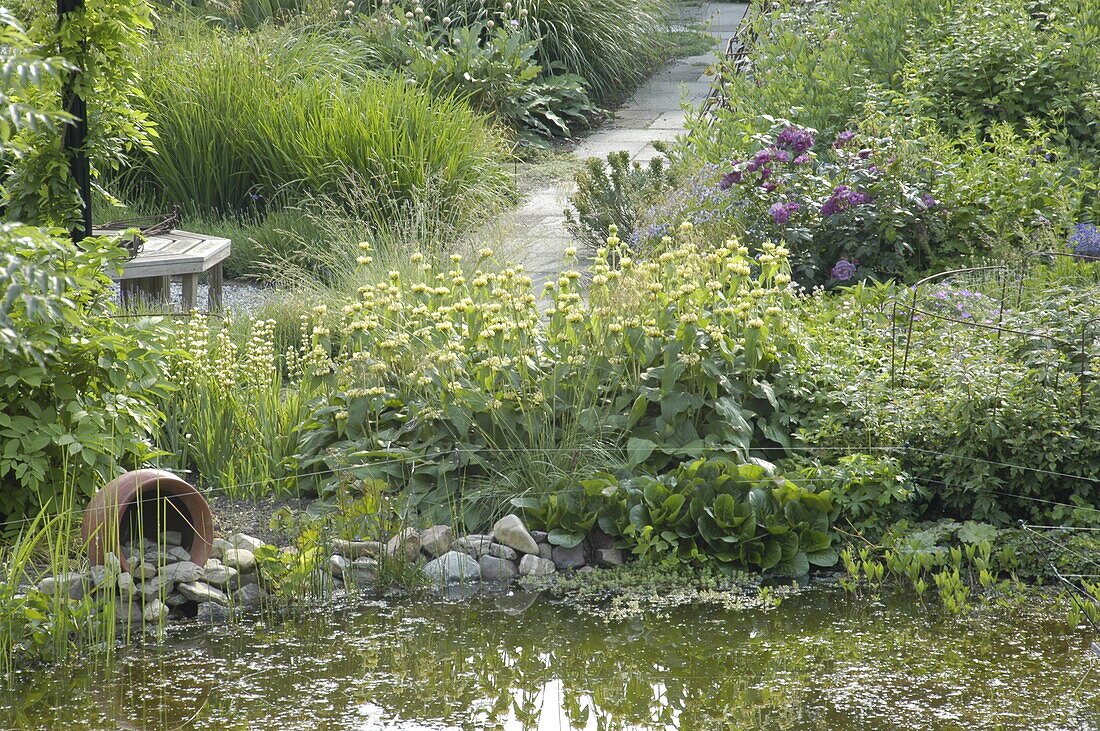 Garden view with pond