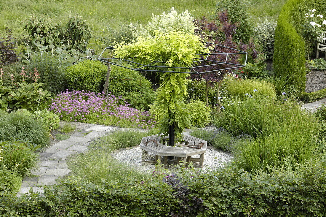 Gartenansicht mit Kletterpflanze