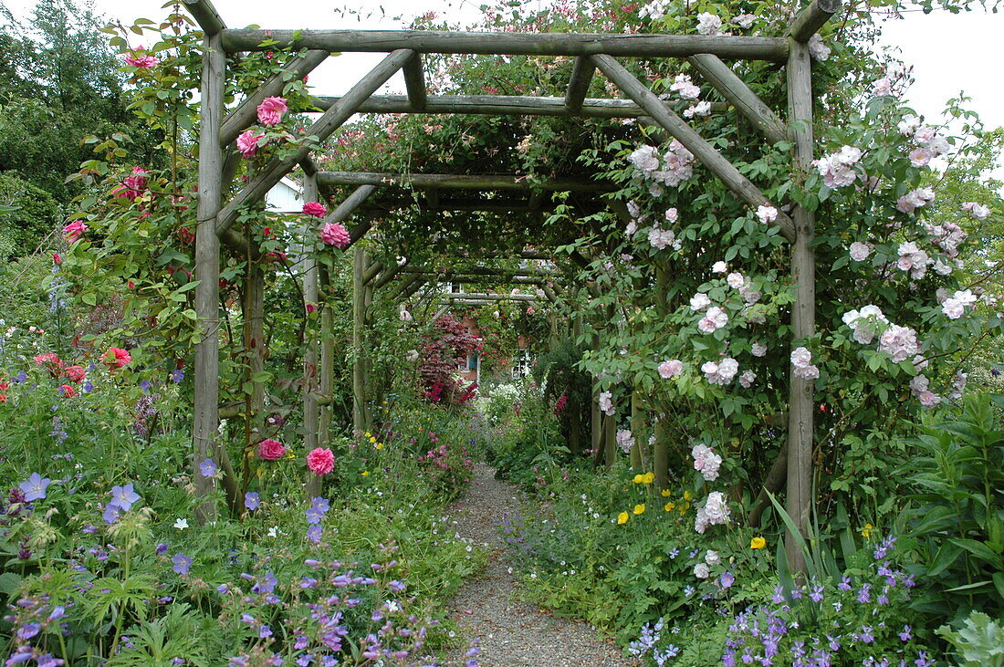 Pergola mit Kletterrosen