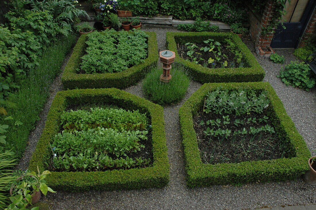 Cottage garden