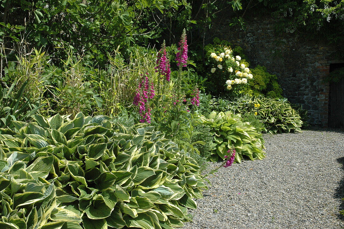 shrub bed