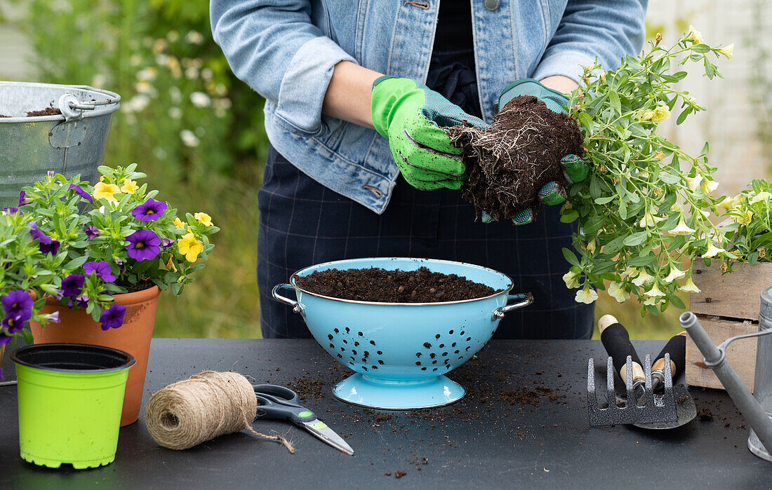 Upcycling - Loosening up root balls