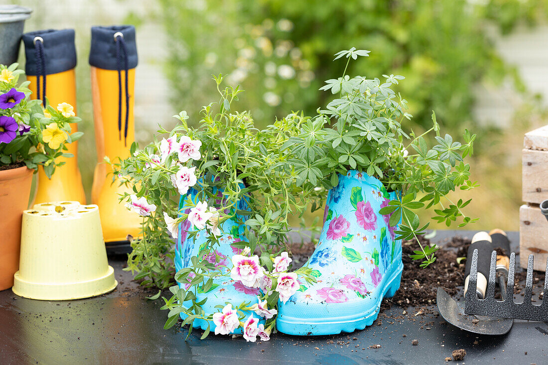 Upcycling - plants in rubber boots