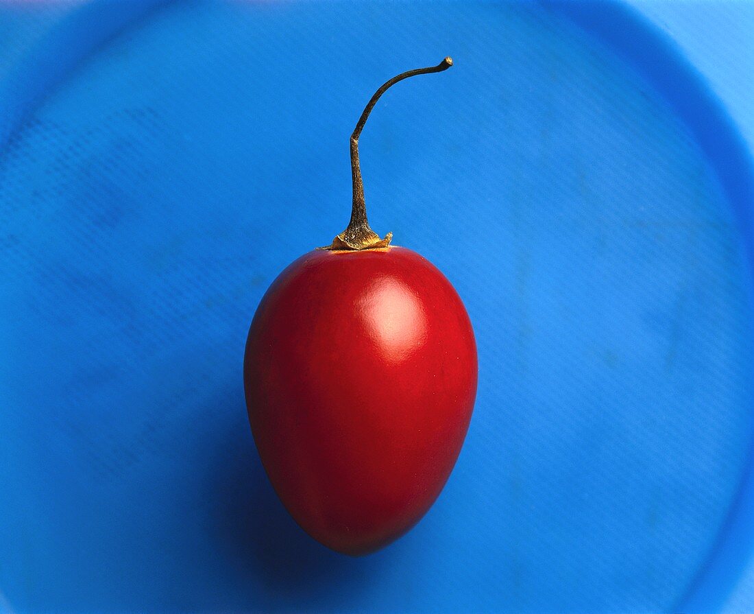 A tamarillo (tree tomato) on blue background