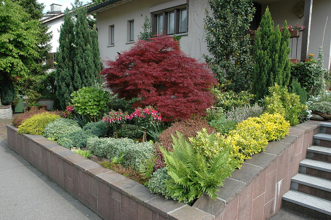 Front garden