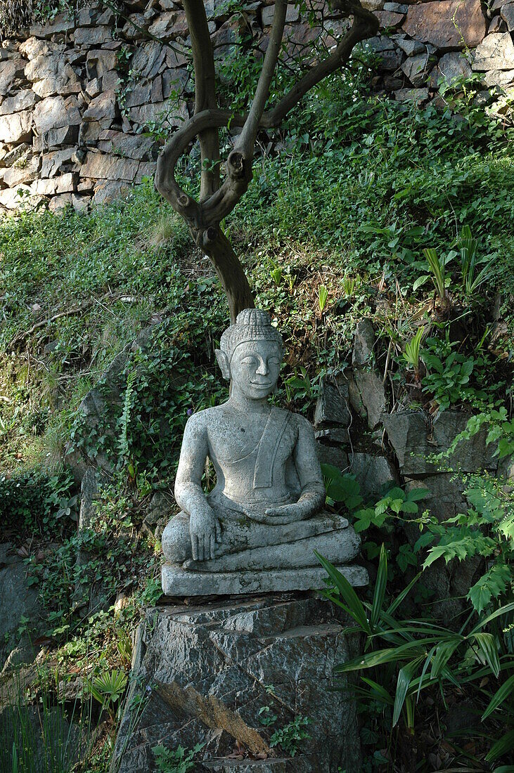 Buddha Statue