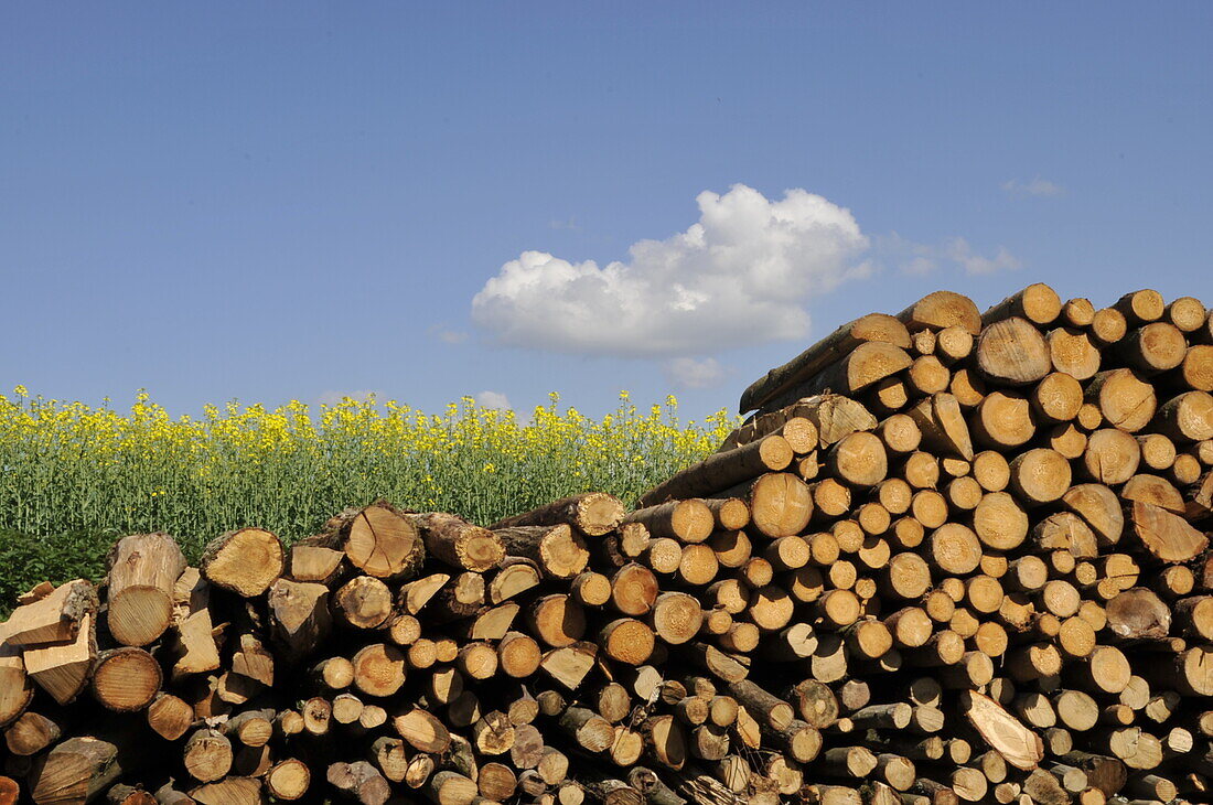 Wood storage