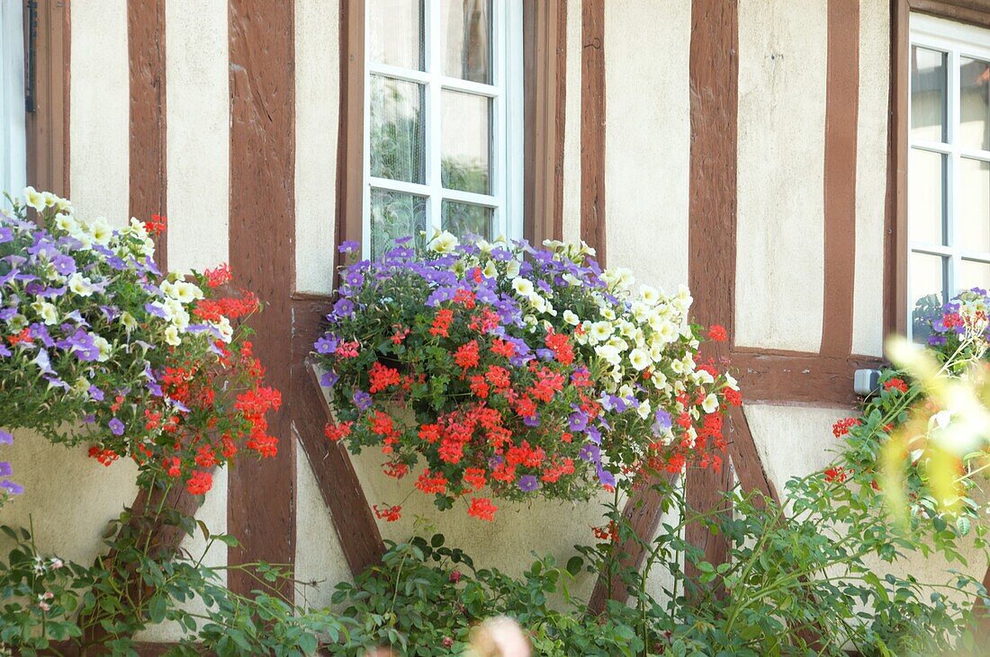 Blumenkasten vor Fenster