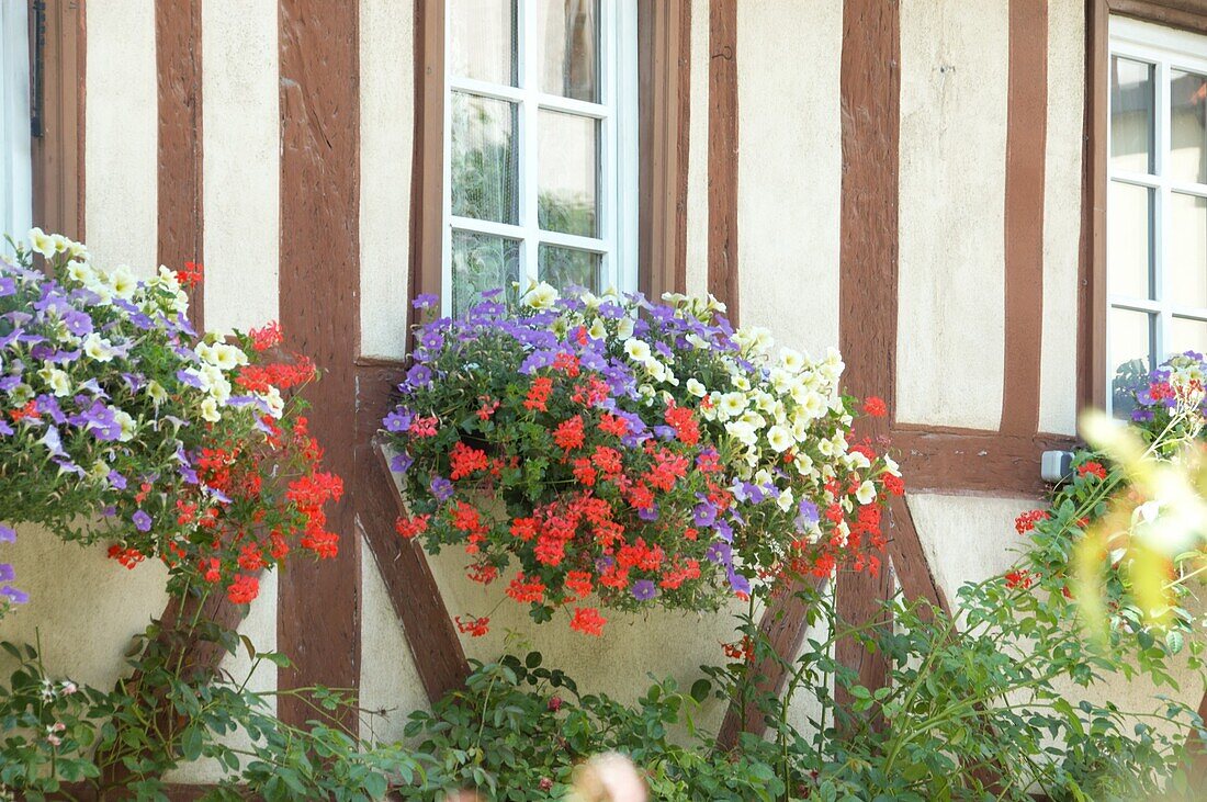 Flower box in front of window