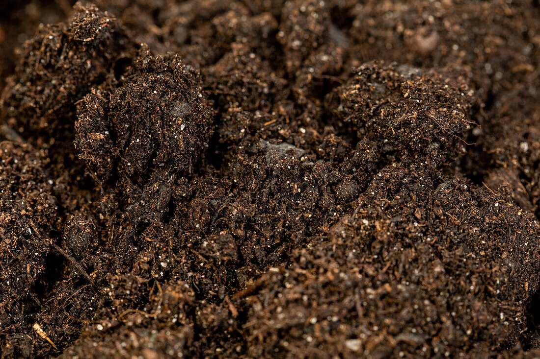 Soil for green plants and palms