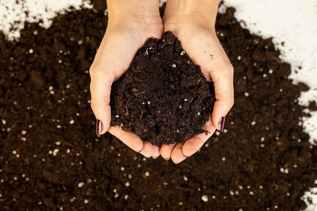 Cultivation and herb soil