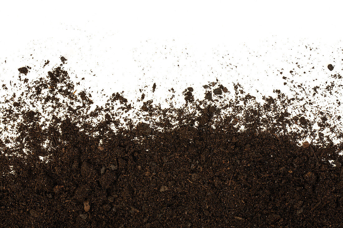 Soil