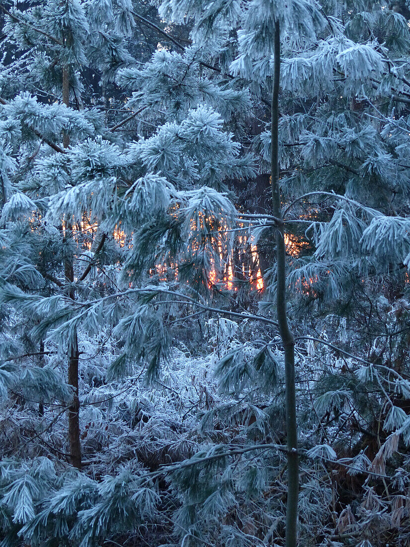 Winterlandschaft